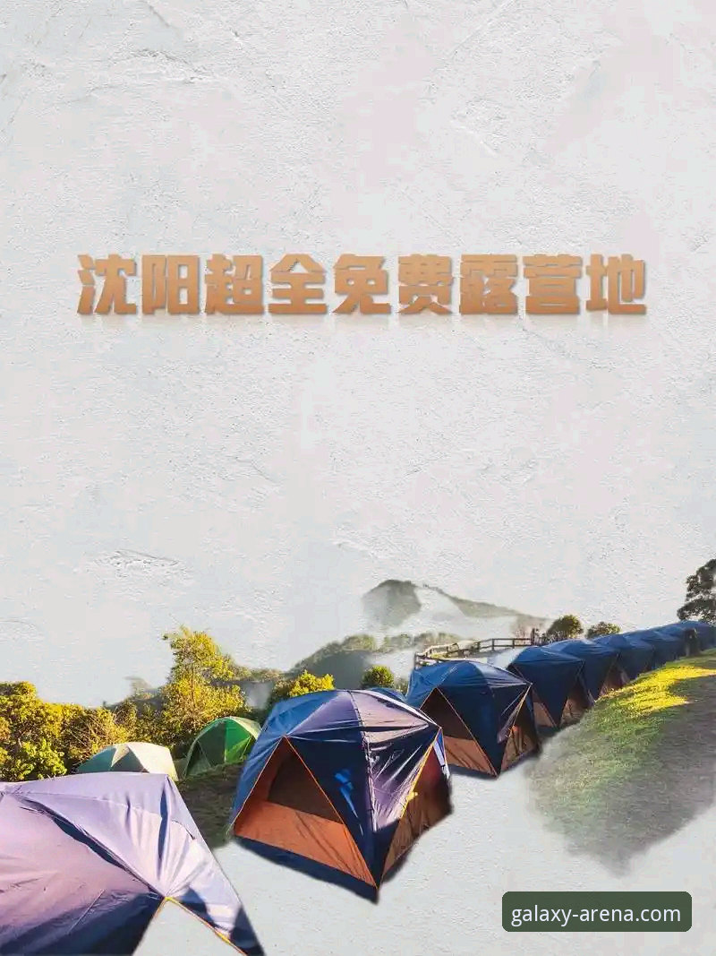 资深用户分享：星空体育App最新版本下载与升级实战心得