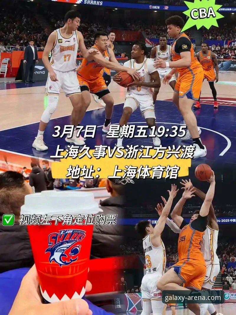 揭秘上海男篮12连胜背后的数据密码：星空体育App如何解码赛场风云