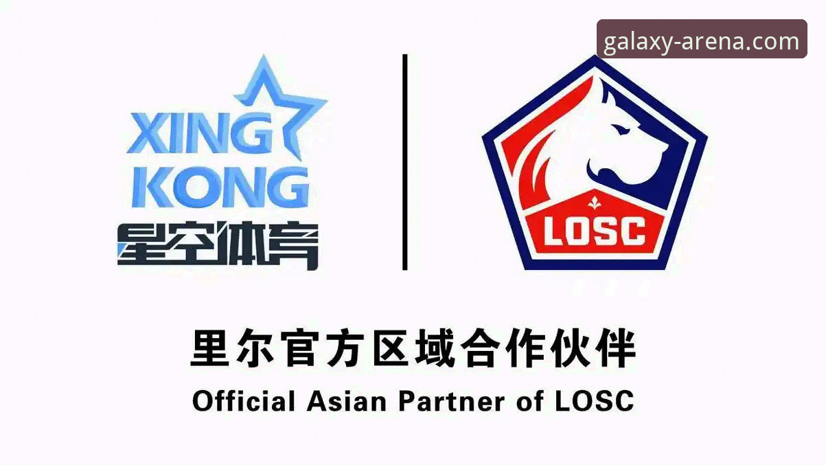 星空娱乐平台背后的真相：专业体育赛事服务的深度解析与下载指南